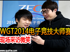 WGT2014Ӿʦֳɷ΢Ц