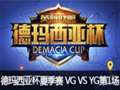 Ǳļ VG VS YG1622
