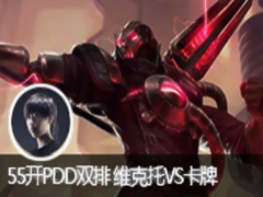 55PDD˫ άVS