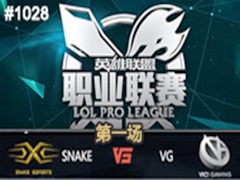 2015LPLļھܣSnake vs VG 1725
