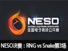 NESO2015Ӣ˾RNG vs Snake3