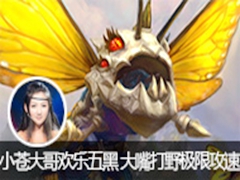 СԴ绶 Ұ 11ɱ׷޹