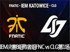IEM10ܾB飺CLG vs FNC 136