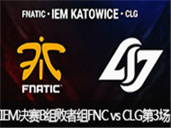 IEM10ܾB飺CLG vs FNC 336