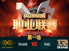 LPL2016ܣSnake vs RNGһ 317