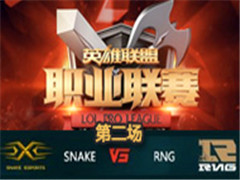 LPL2016ܣSnake vs RNGڶ317