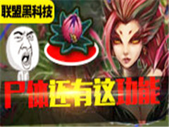 ʬС⹦ܣҪ