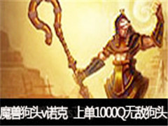 ħ޺ֱͷvsŵˣϵ1000Q޵йͷ
