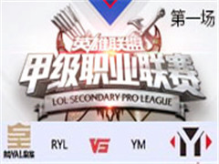 2017LSPL׼ְҵܣRYL vs YM һ 39