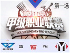 2017LSPL׼ְҵܣGD vs YM һ 316