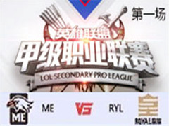 2017LSPL׼ְҵܣME vs RYL һ 317
