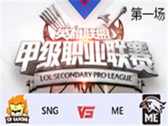 2017LSPL׼ְҵʮܣSNG vs ME һ 45