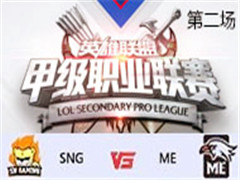 2017LSPL׼ְҵʮܣSNG vs ME ڶ 45
