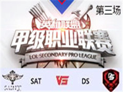 2017LSPL׼ְҵʮܣSAT vs DS  45