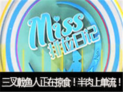 Missλռǵ397ڣʳϵ