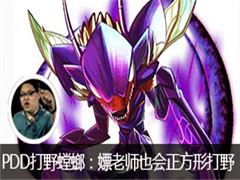 PDDֱҰ룺ʦҲδҰ