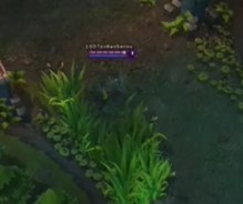 TGAA  vs LGD