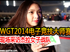 WGT2014ӾʦֳɷýŮս