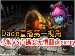 Dadeֱһӽ СVS¬ 鷭carry