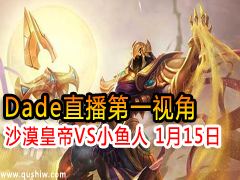 Dadeֱһӽ ɳĮʵVSС 115