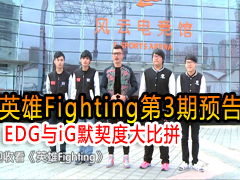 ӢFighting3:EDGiGĬȴƴ Ԥ