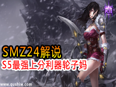 SMZ24˵S5ǿϷ
