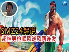 SMZ24˵ǹ˳