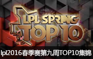 lpl2016ھTOP10 QG