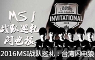 2016MSIйھսѲ̨FW